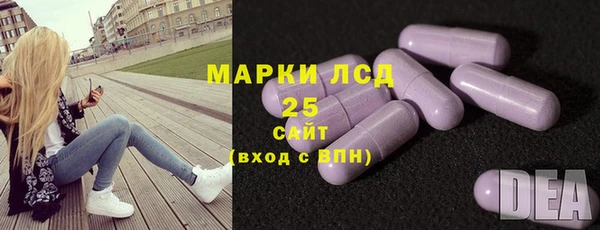 каннабис Болотное