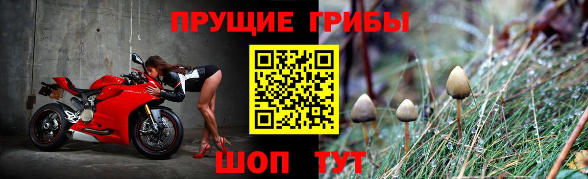 как найти наркотики  Вход с VPN  Богородицк  Псилоцибиновые грибы Cubensis 